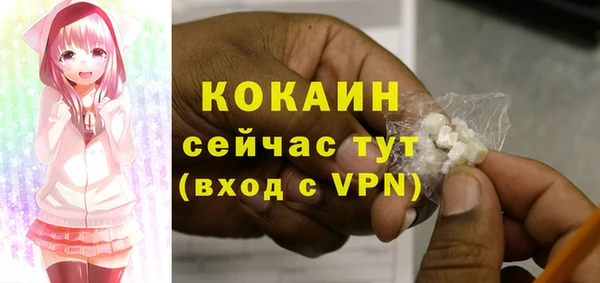 индика Алексеевка