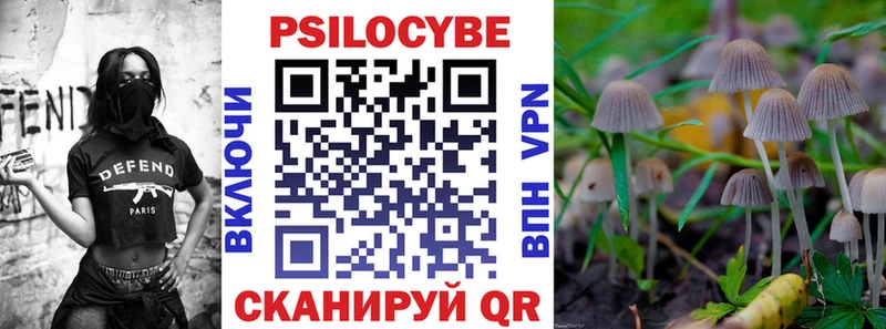 Псилоцибиновые грибы Cubensis  как найти наркотики  Сасово 