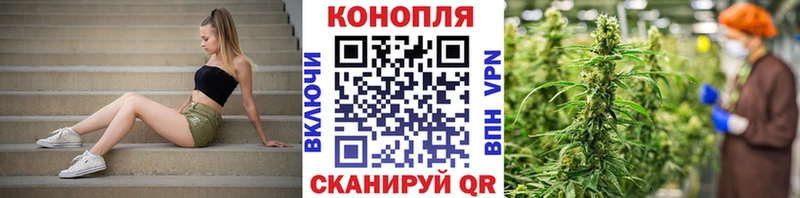 что такое   Сасово  Канабис White Widow 